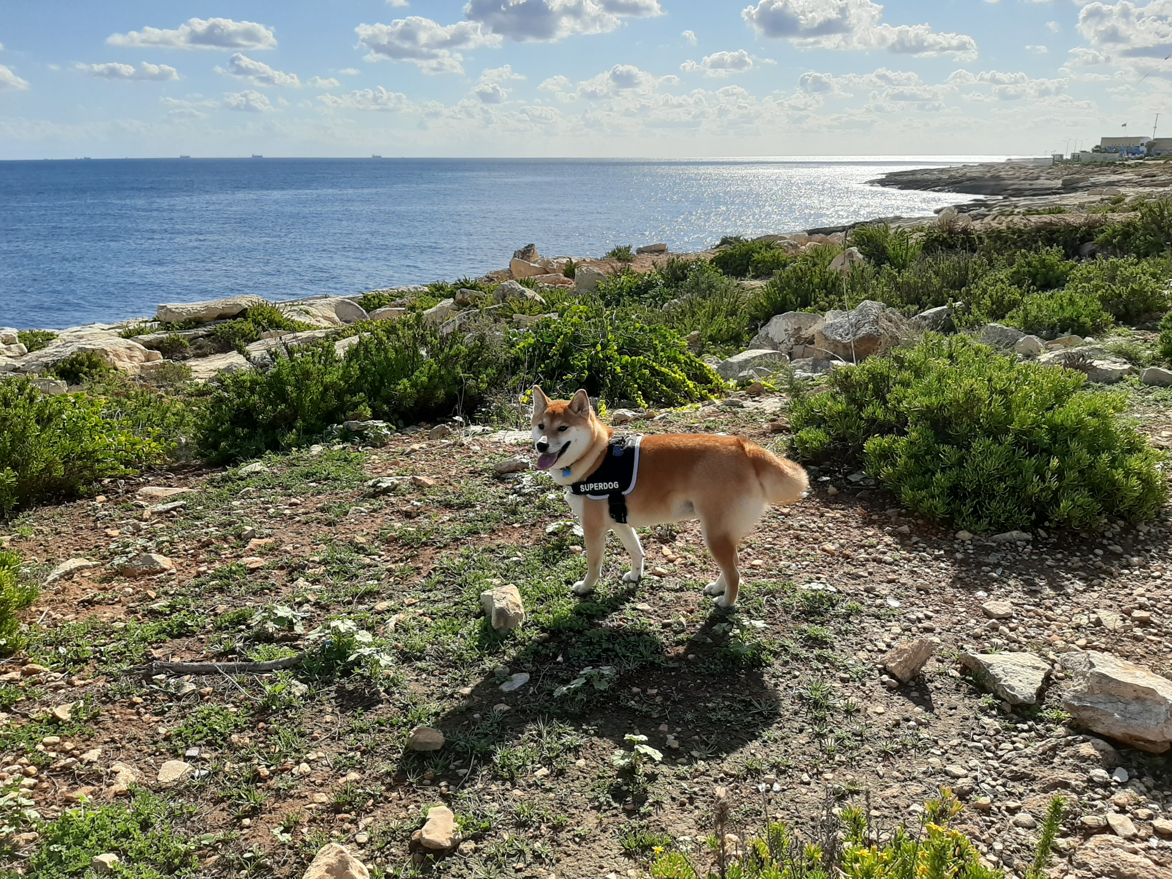 Malta